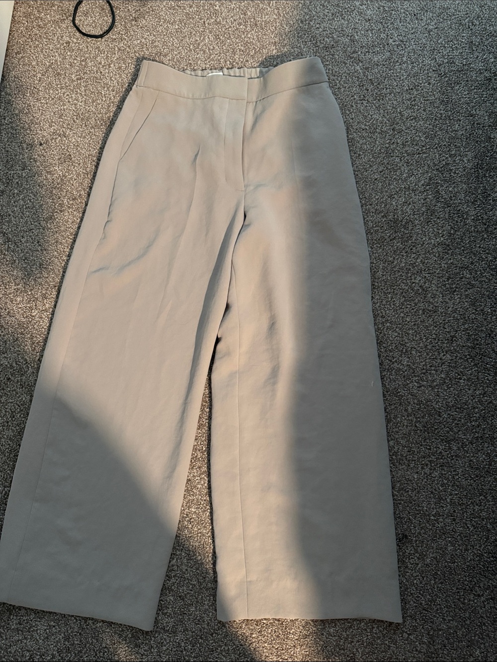 Aritzia Wide Leg High-Waist Pants in Light Gray